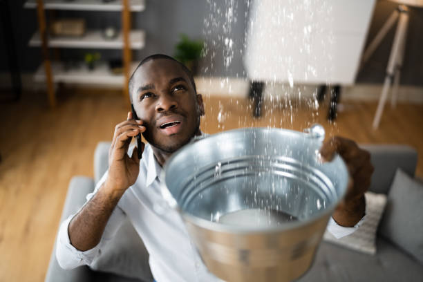 Best Mold removal after water damage  in Chisago City, MN