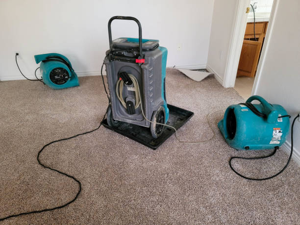 Best Water damage restoration near me  in Chisago City, MN