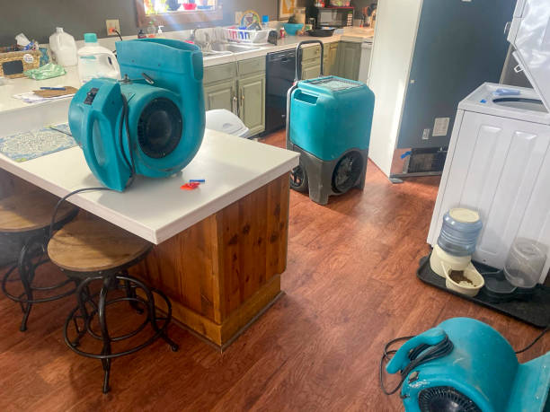 Best Water damage restoration near me  in Chisago City, MN