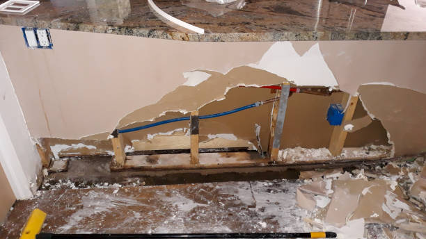 Best Flooded house restoration  in Chisago City, MN