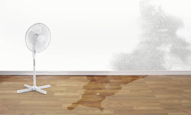 Best Sewage cleanup and water damage restoration  in Chisago City, MN