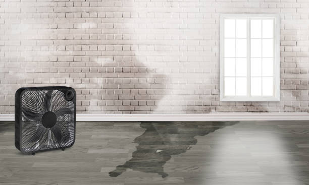 Best Residential water damage restoration  in Chisago City, MN