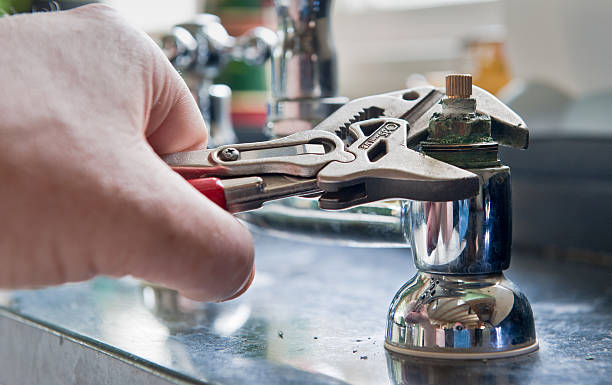 Best Flood damage cleanup  in Chisago City, MN