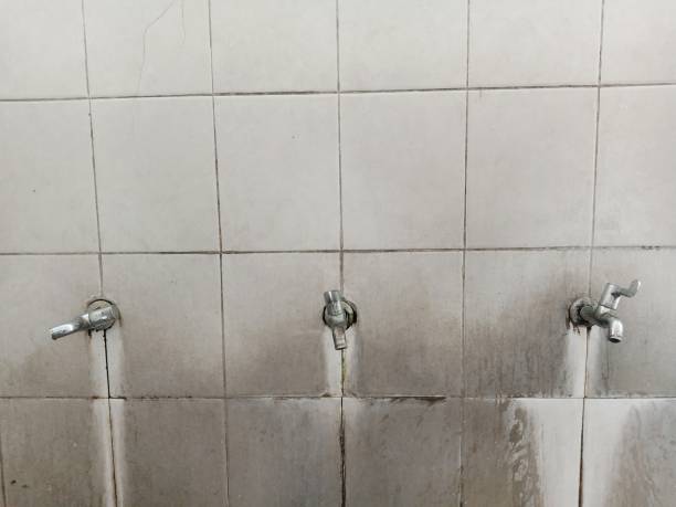 Best Emergency water extraction  in Chisago City, MN
