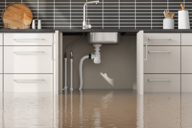 Best Professional water damage repair  in Chisago City, MN