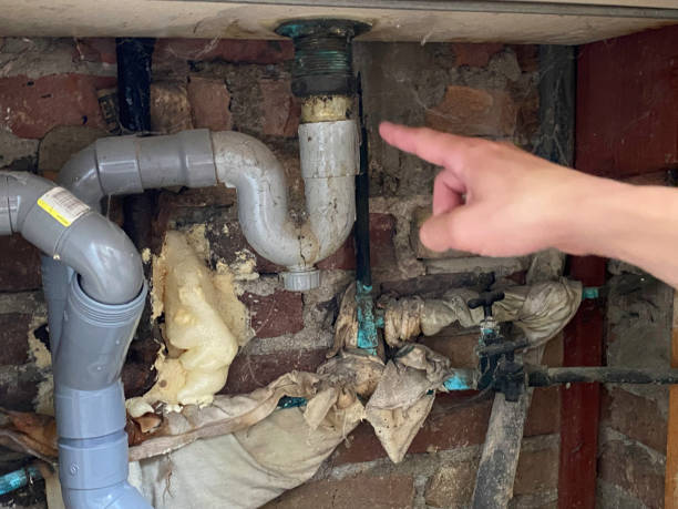 Best Water damage contractors near me  in Chisago City, MN